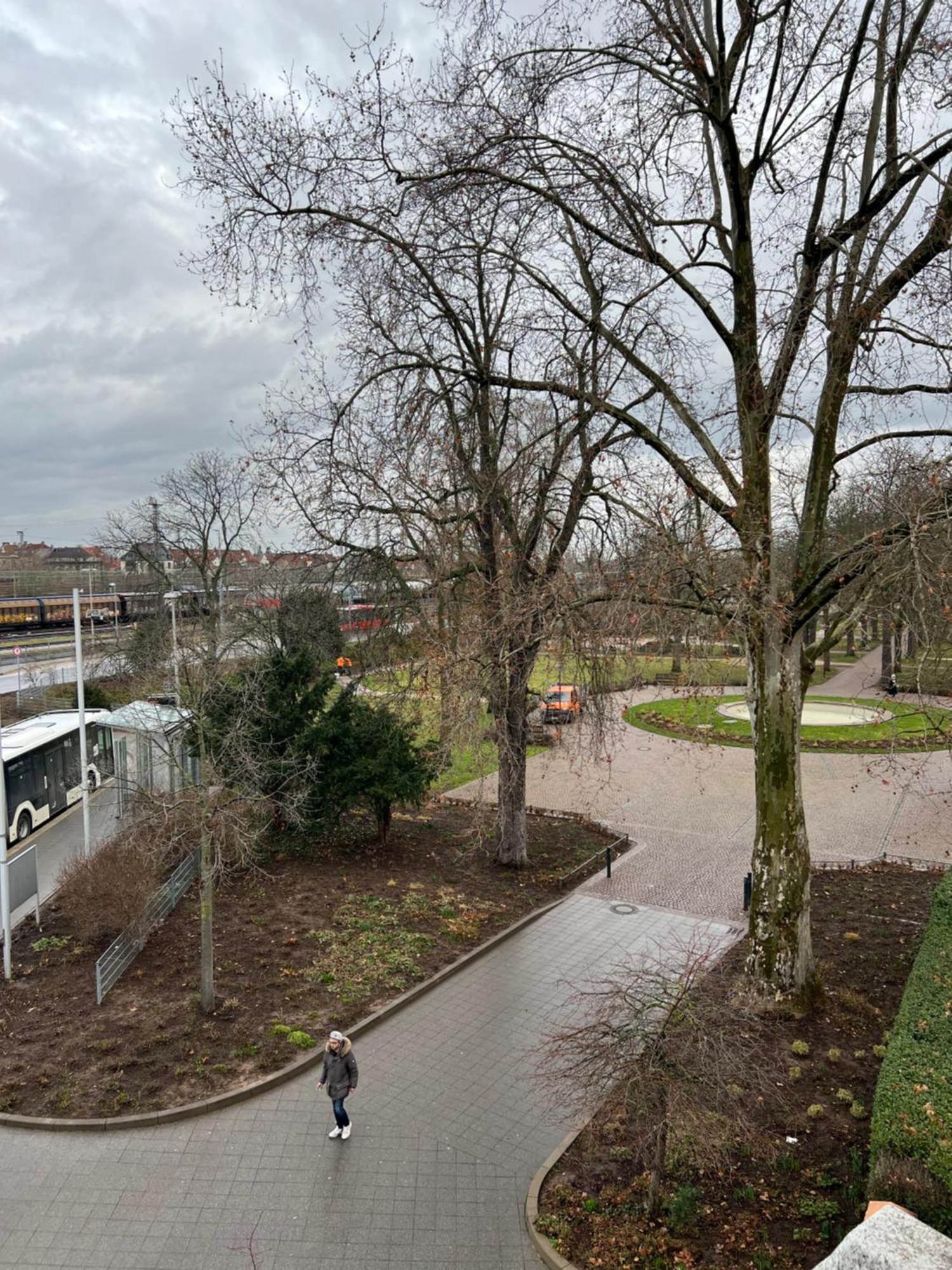 Albert-Schulte-Park Apartment- Worms Exteriér fotografie